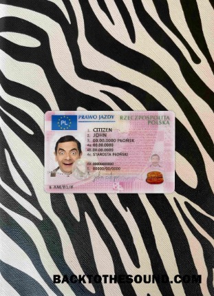 Pobierz Polska DL 2019 Obecny wygląd zdjęcia Przód Próbka szablon