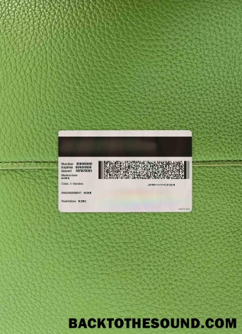 Pobierz Portoryko DL wygląd zdjęcia Tył Próbka próbka
