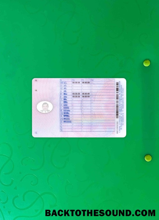 Pobierz Rumunia DL updated wygląd zdjęcia Tył Próbka projekt