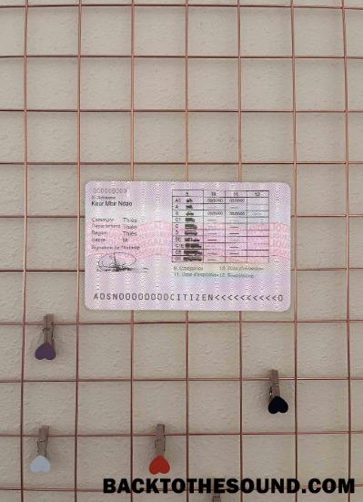 Pobierz Senegal DL wygląd zdjęcia Tył Próbka projekt