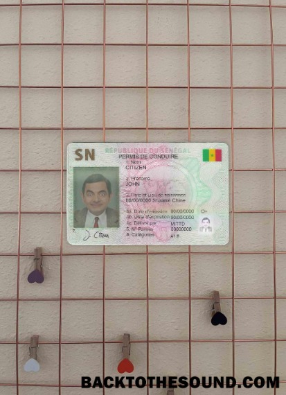 Pobierz Senegal DL wygląd zdjęcia Przód Próbka szablon