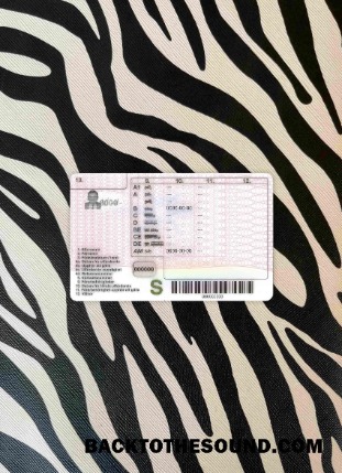 Pobierz Szwecja DL (2009 2016) wygląd zdjęcia Tył Próbka próbka
