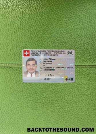 Pobierz Szwajcaria DL wygląd zdjęcia Przód Próbka szablon