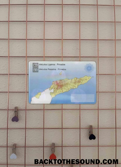 Pobierz Timor Leste DL wygląd zdjęcia Tył Próbka makieta