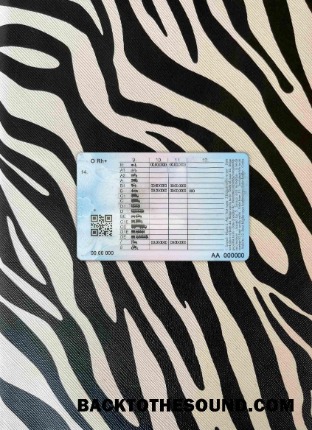 Pobierz Turcja Prawo jazdy wygląd zdjęcia Tył Próbka podgląd