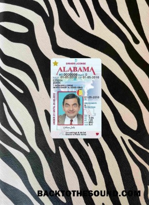 Pobierz USA Alabama Prawo jazdy under 21 wygląd zdjęcia Przód Próbka szablon
