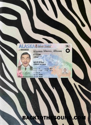 Pobierz USA Alaska DL wygląd zdjęcia Przód Próbka podgląd