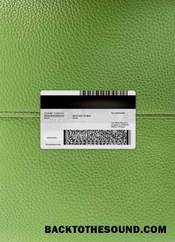 Pobierz USA Arizona Driver Licencja wygląd zdjęcia Tył Próbka próbka
