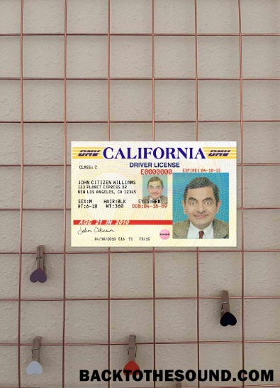 Pobierz USA California Prawo jazdy Wersja 3 wygląd zdjęcia Przód Próbka podgląd