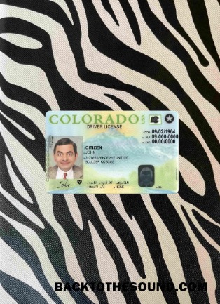 Pobierz USA Colorado Prawo jazdy Wersja 2 wygląd zdjęcia Przód Próbka podgląd