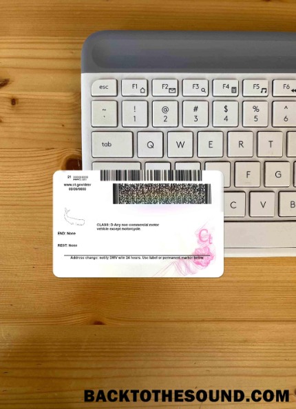 Pobierz USA Connecticut DL wygląd zdjęcia Tył Próbka podgląd