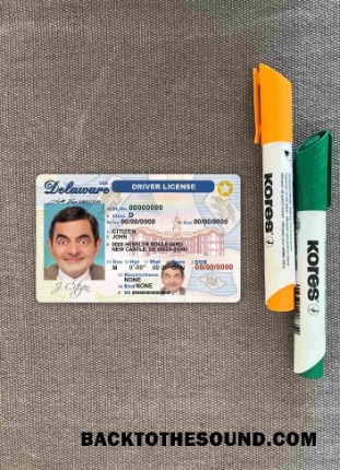 Pobierz USA Delaware DL wygląd zdjęcia Przód Próbka projekt