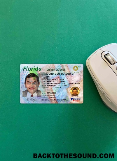 Pobierz USA Florida DL wygląd zdjęcia Przód Próbka podgląd