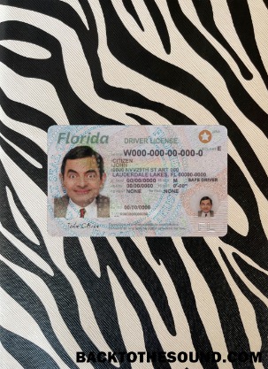 Pobierz USA Florida Prawo jazdy 2018 Obecny wygląd zdjęcia Przód Próbka makieta