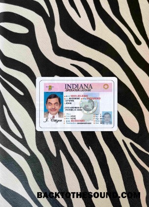 Pobierz USA Indiana DL wygląd zdjęcia Przód Próbka podgląd