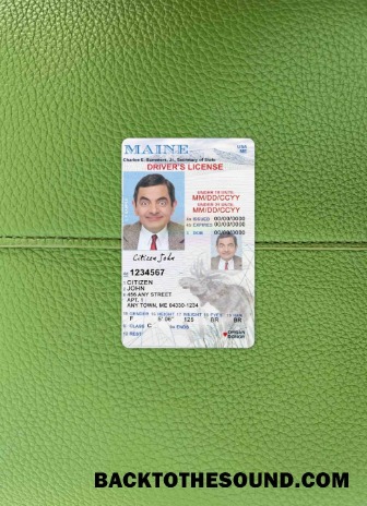 Pobierz USA Maine Prawo jazdy under 21 wygląd zdjęcia Przód Próbka podgląd