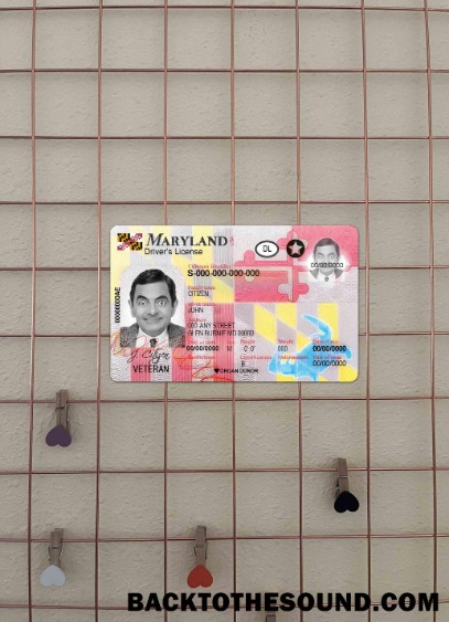 Pobierz USA Maryland DL 2016 Obecny wygląd zdjęcia Przód Próbka podgląd