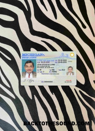 Pobierz USA Michigan DL wygląd zdjęcia Przód Próbka makieta