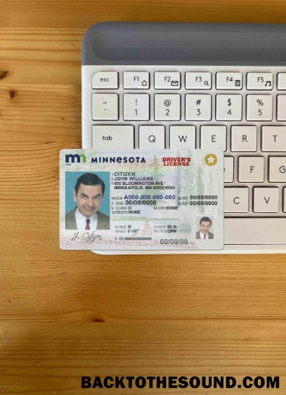 Pobierz USA Minnesota DL wygląd zdjęcia Przód Próbka projekt