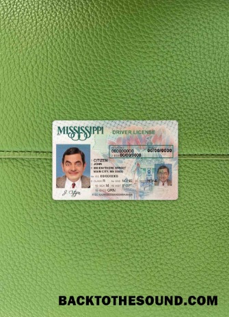 Pobierz USA Mississippi DL wygląd zdjęcia Przód Próbka podgląd
