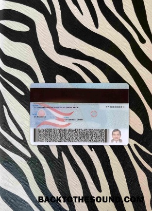 Pobierz USA Ohio Prawo jazdy under 21 wygląd zdjęcia Tył Próbka próbka