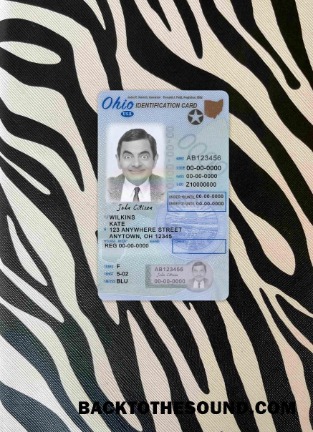 Pobierz USA Ohio Prawo jazdy under 21 wygląd zdjęcia Przód Próbka podgląd