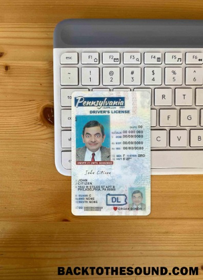 Pobierz USA Pennsylvania Prawo jazdy under 21 21 wygląd zdjęcia Przód Próbka szablon