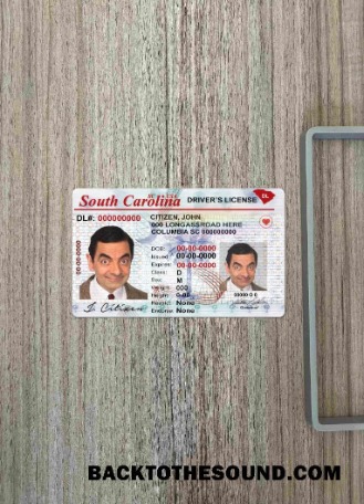 Pobierz USA South Carolina DL wygląd zdjęcia Przód Próbka podgląd