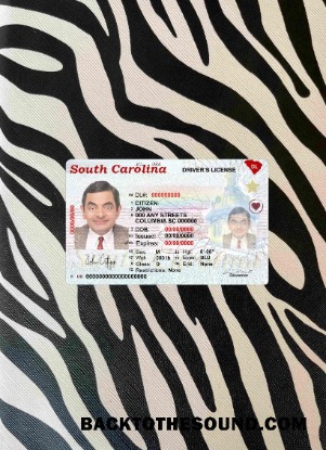 Pobierz USA South Carolina state Prawo jazdy(2020 – Obecny) wygląd zdjęcia Przód Próbka makieta