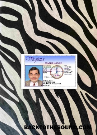Pobierz USA Virgina DL Wersja 2 wygląd zdjęcia Przód Próbka projekt