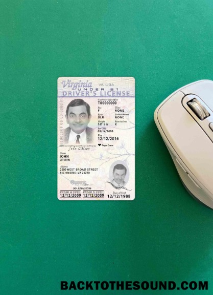 Pobierz USA Virginia Prawo jazdy under 21 2009 Obecny wygląd zdjęcia Przód Próbka szablon