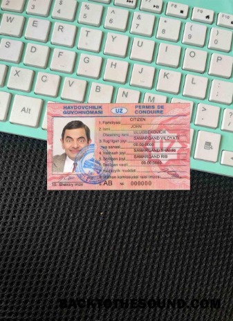 Pobierz Uzbekistan DL wygląd zdjęcia Przód Próbka makieta