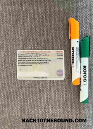 Pobierz Wietnam DL wygląd zdjęcia Tył Próbka szablon