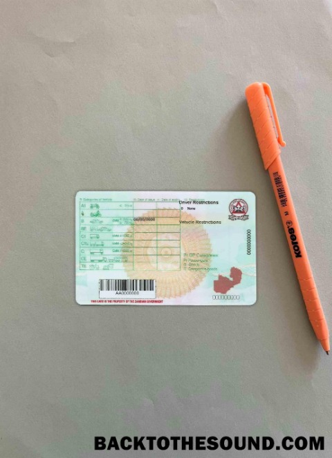 Pobierz Zambia DL wygląd zdjęcia Tył Próbka makieta