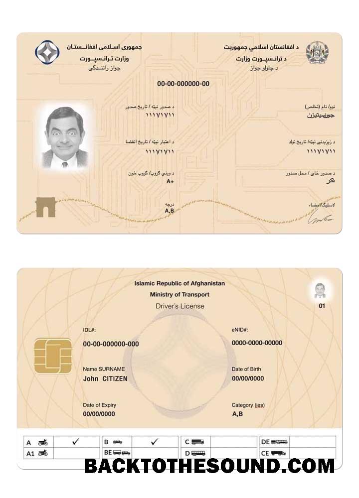 Scarica Afghanistan electronic Patente di guida 2019 Presente Campione anteprima