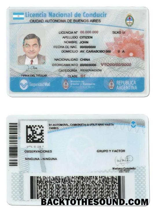 Scarica Argentina Buenos Aires Patente di guida Campione campione