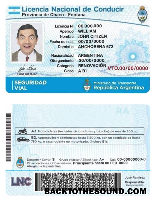 Scarica Argentina Patente di guida Campione anteprima