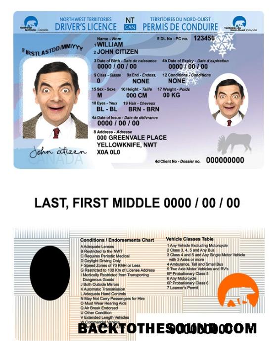 Scarica Canada Northwest Territories driver’s Licenza Campione design