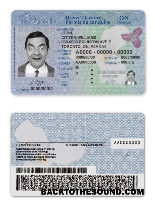 Scarica Canada Ontario Patente di guida in PSD Formato(2018present) Campione modello