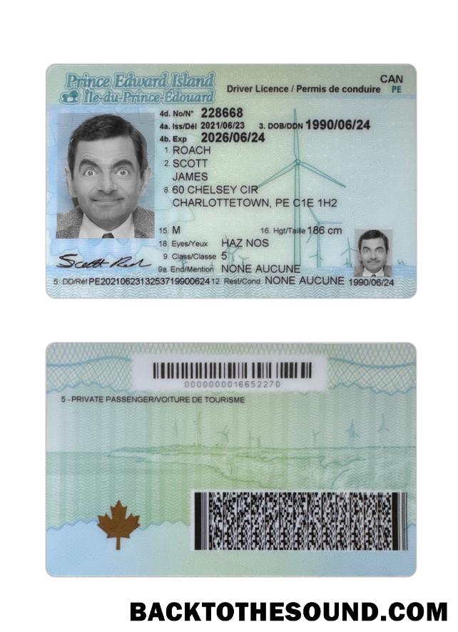 Scarica Canada Prince Edward Island Patente di guida Campione modello