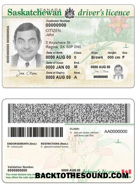 Scarica Canada province Saskatchewan Patente di guida Campione mockup
