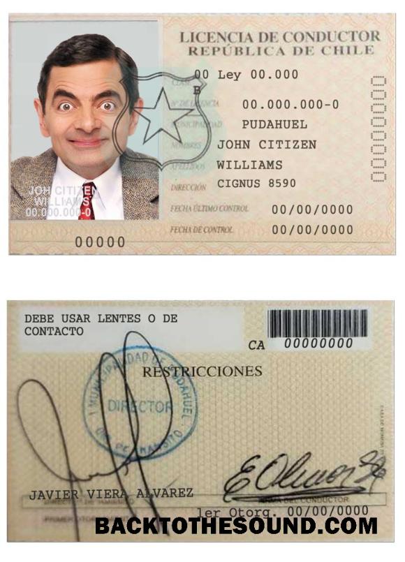 Scarica Cile licencia de conductor Campione design