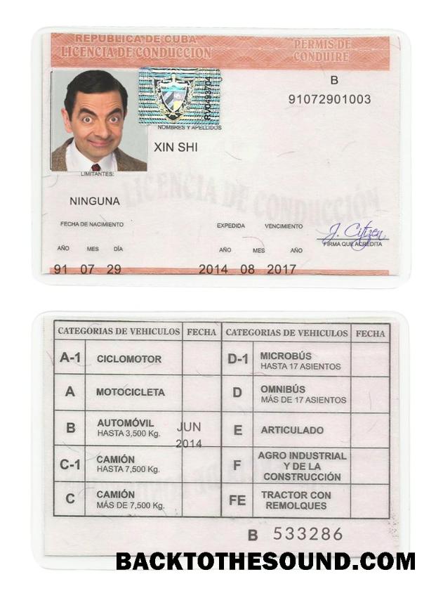 Scarica Cuba Patente di guida Campione anteprima