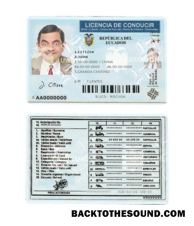Scarica Ecuador Patente di guida Campione anteprima