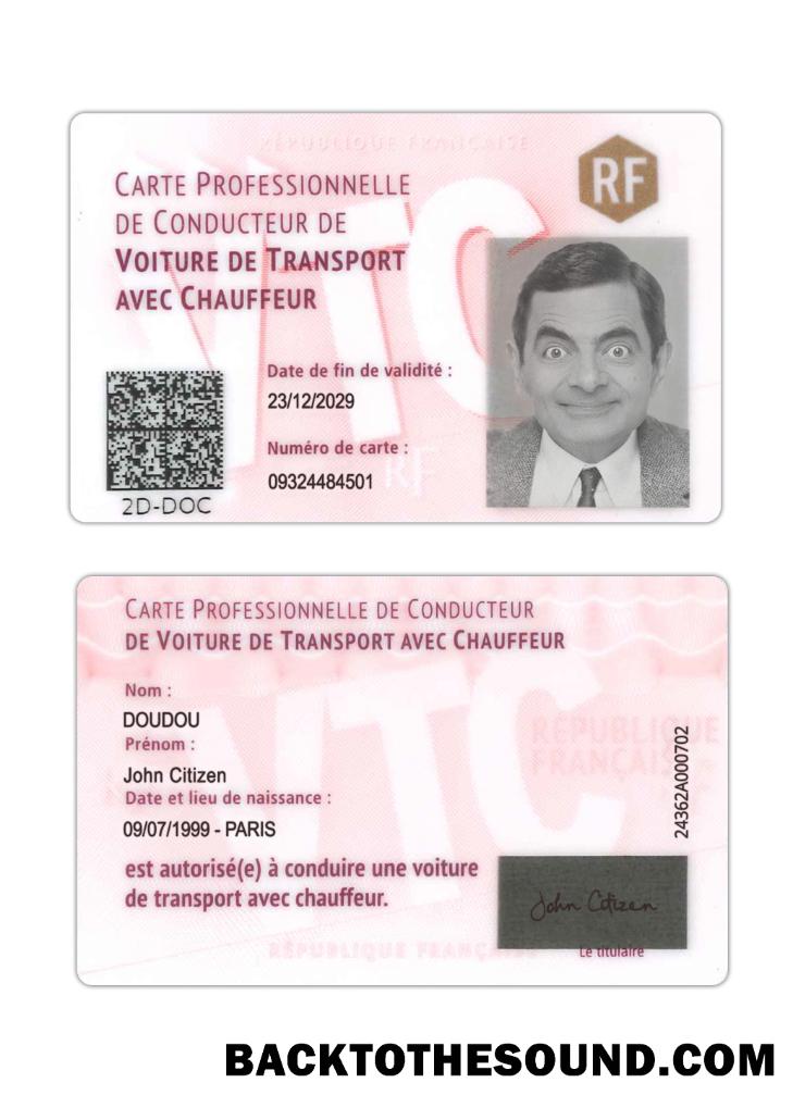 Scarica Francia Professionale driver's Carta Campione design