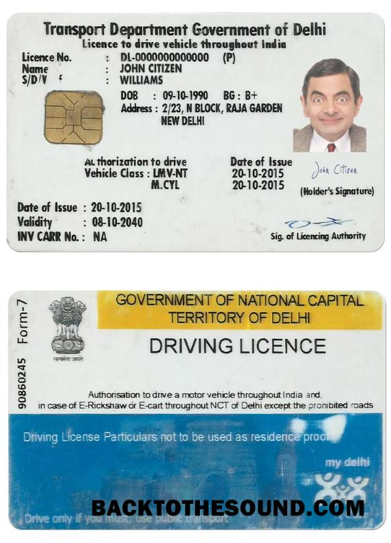 Scarica India (DELHI) Patente di guida Campione modello