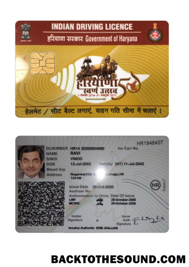 Scarica India Haryana state Patente di guida Campione modello