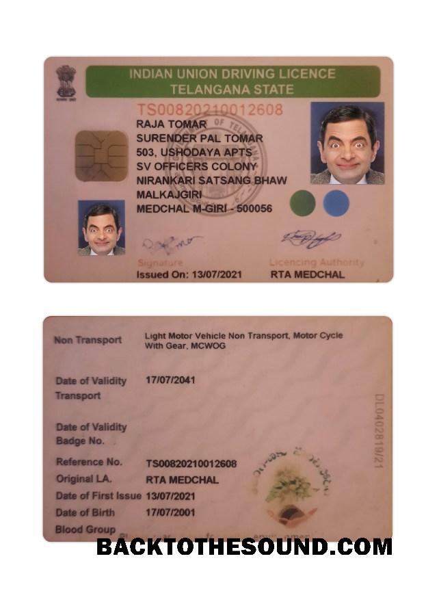 Scarica India Telangana state Patente di guida Campione design