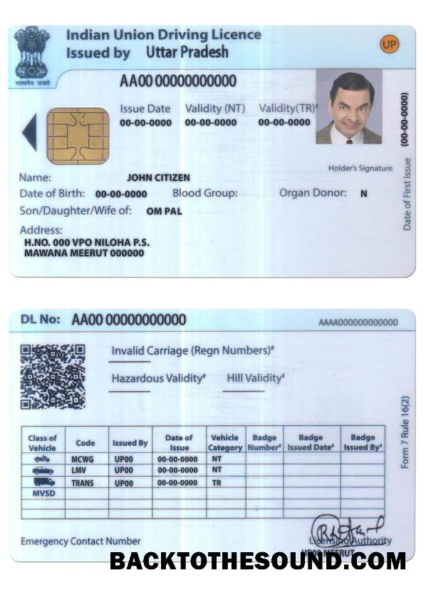 Scarica India unione Patente di guida Campione anteprima