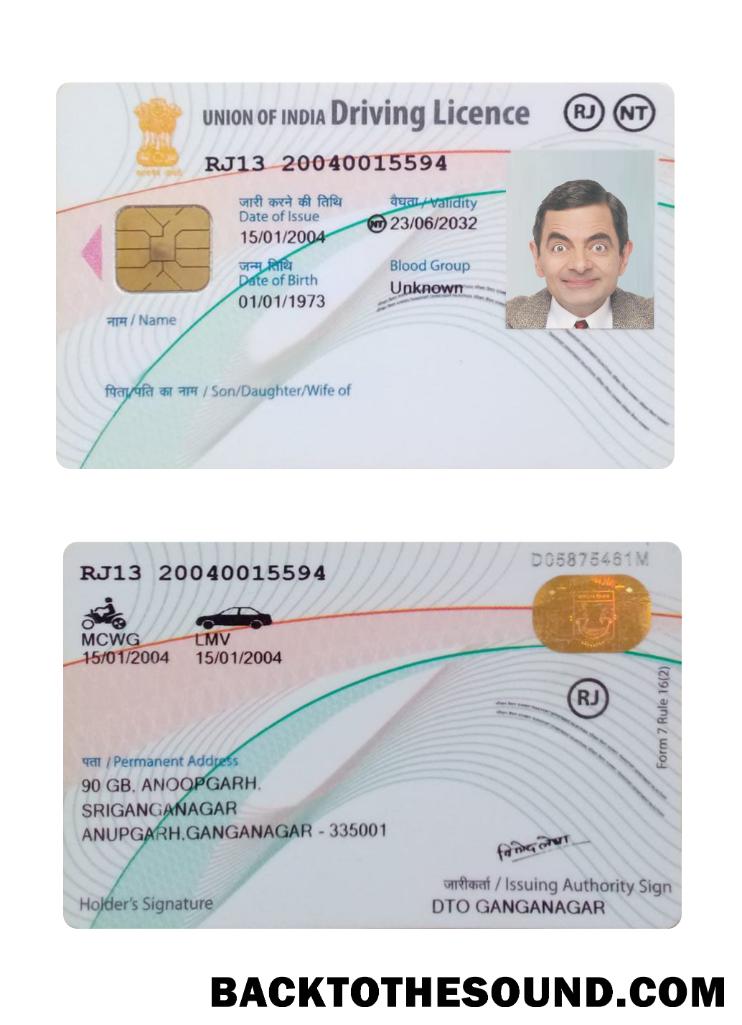 Scarica India unione Patente di guida Nuovo Versione Campione campione